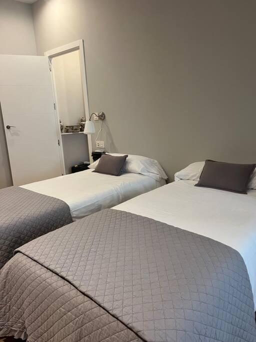 Precioso Y Centrico Apartment Zaragoza